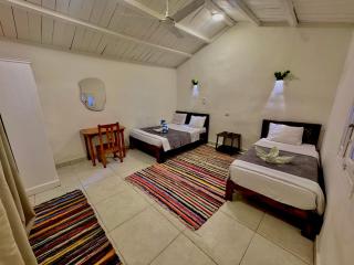 Cozy Camel Studios - 9