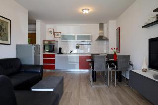 Apartment Lumi near the town center - 0