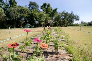 OYO 75374 Baan Rak Mai - 4