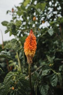 Dennis Cottage Clare Valley - 4