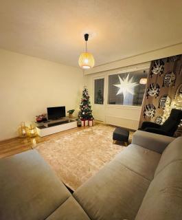 Cozy apartment in Rovaniemi! - 3