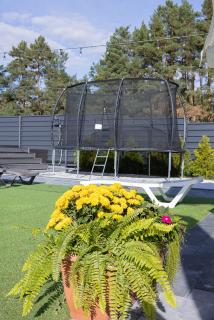 Маєток Боромицький - 9