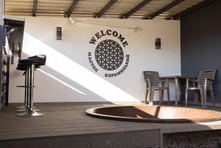 Маєток Боромицький - 5