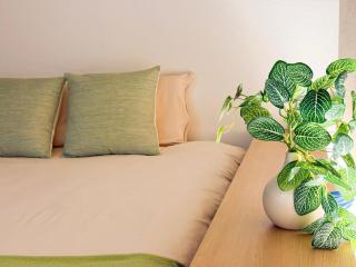 月見x天下茶屋x一戸建て 和モダンの贅沢ステイ 3つの浴室&d完備 交通便利 関西空港直通 備品完備 地下鉄徒歩6分 - 6