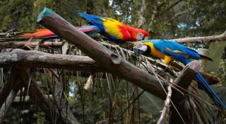 OYO Home 90416 Exclusuites - 6