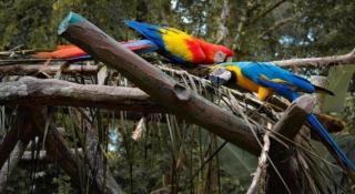 OYO Home 90416 Exclusuites - 3