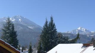 Alpenpanorama vacation home - 3