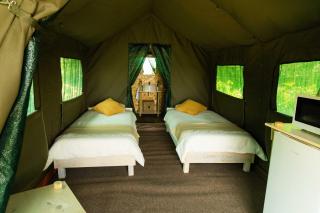 Safari Glamping Portugal Elephant - 0