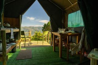 Safari Glamping Portugal Elephant - 7