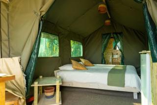 Safari Glamping Portugal Elephant - 2