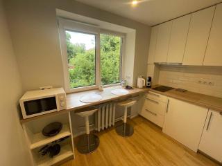 Modern 1BR Haven near Two Parks - 1