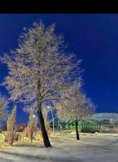 Newly renovated cosy apartment near scenic river - 8