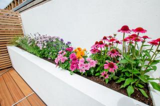 Entire Modern Apartment with Garden Near Underground Station - 1