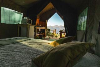 Safari Glamping Portugal Shark - 5