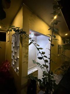 Cozy Apartment 8 minutes from Downtown David - Private Entrance Garden - 6