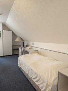 Pension Lindenhof in Fuchshain - 3