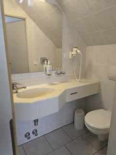 Pension Lindenhof in Fuchshain - 1