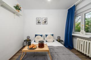 Lumina 3 room apartment in Warsaw - 6