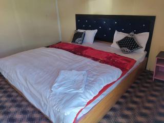 Pangong view point cottage - 5