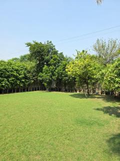 FreeCulture - Luxury 2BHK Farm Stay with Private Pool & Garden in Noida - 1