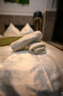 Apartment & Spa PRIVATE HOT TUB Central Berlin - 7