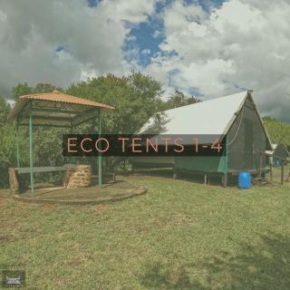 Indabushe Eco Lodge - 6