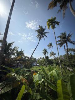 Varghese staycation - 3