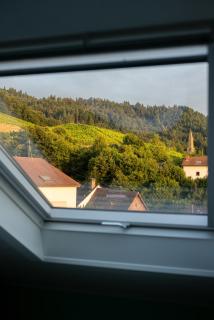 Happy Hugle Haus - Offenburg - 9