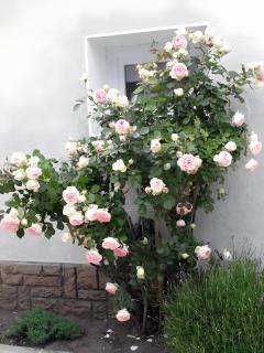 Les Chambres Du Circuit - 9