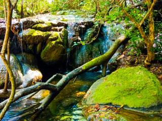 Green Peak Lodge - 9