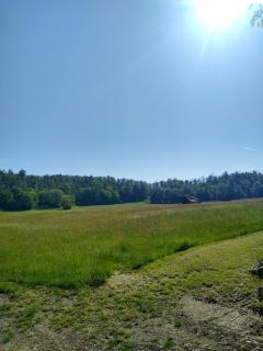 Ferienwohung Stelldichein - 9