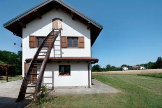 Ant Ra Prina Chiaro Pino - 8