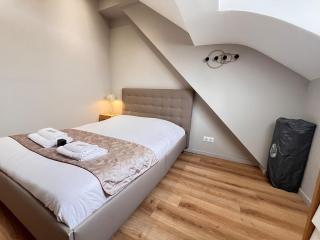 E - Le loft in Epernay T2 au cœur du centre ville - 5