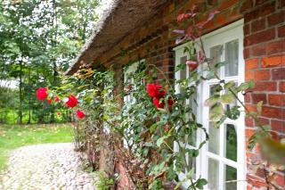 Deichglück Emmelsbüll-Horsbüll - 9