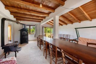 Ant Ra Prina Verde - 8