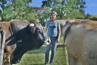 Gîte de la Ferme des Bourettes - 6