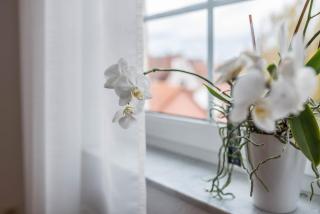 Aposto Apartments 3 - 6