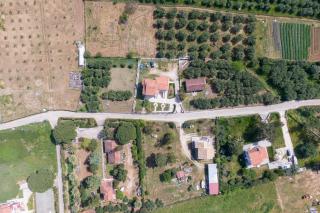 Lotus Apartment 3 - 6