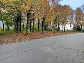 Hotel MonteMorello - 4