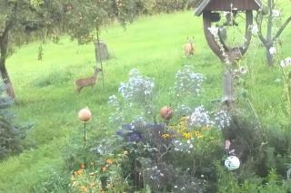 Ferienwohnung Böhme - 8