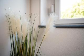 Au Petit Meuh'ster - 9