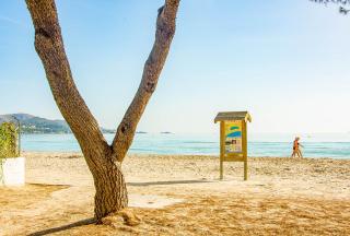 Casa de los Pinos - 5