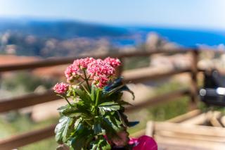 Villetta Panoramica Costa Paradiso - 6