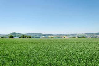 Ferienwohnung Landleben - 8