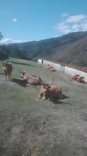 Turismo Rural No Gerês - 9