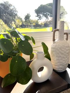 La Grange, Vendée, Nesmy - 8