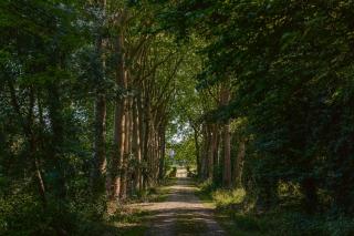 Chambre d'hote Emeraude - 9