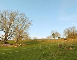 Le Palefroi De Merlas - 9