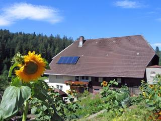 Ferienhof Bühler - 8