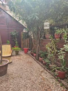 The Rasa by Satvic - 3